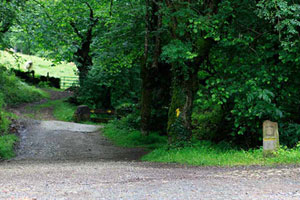 caminodesantiago10