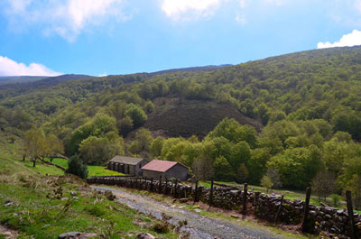 caminodesantiago30