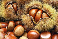 castañas